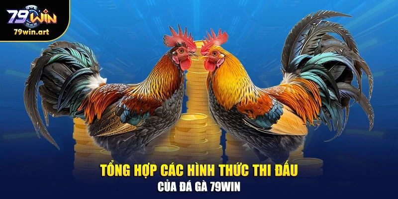 Tổng hợp các hình thức thi đấu của đá gà 79WIN